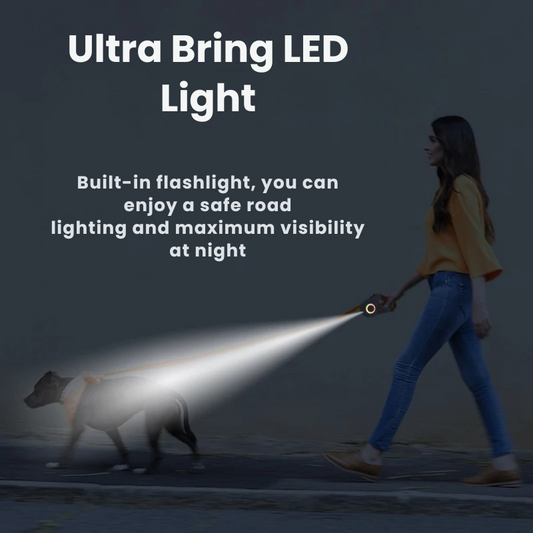 GlowGuard-Leashes-vs-Standard-Leashes-Which-Wins Voi Pets