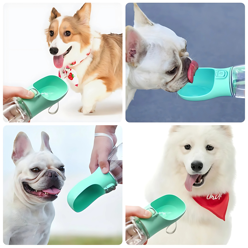 Portable Pet Water Bottle Voi Pets