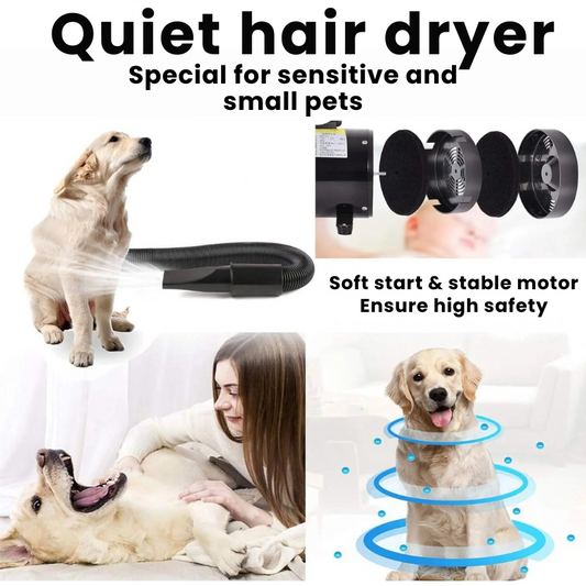 Power-Dryers-vs.-Towels-Which-Dries-Better Voi Pets
